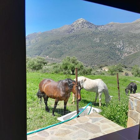 Vila El Higueron Jimera de Líbar Exteriér fotografie
