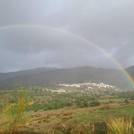 Vila El Higueron Jimera de Líbar Exteriér fotografie