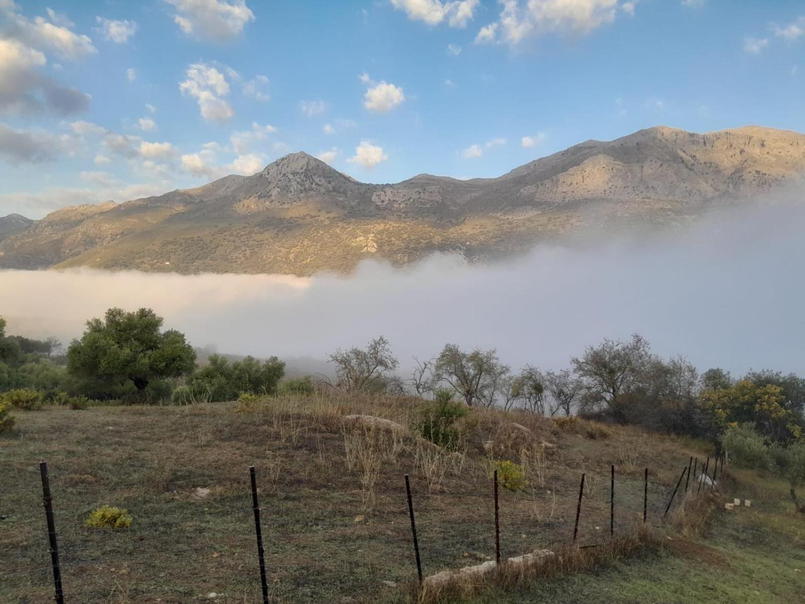 Vila El Higueron Jimera de Líbar Exteriér fotografie