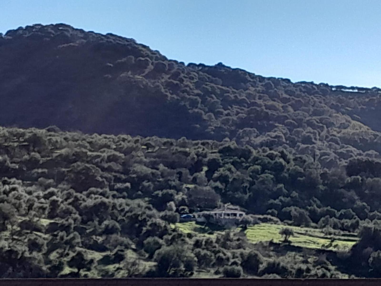Vila El Higueron Jimera de Líbar Exteriér fotografie